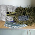 Após denúncia, Guarda Civil Municipal apreende grande quantidade de maconha em Jacobina