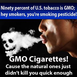 Ninety Percent of U.S. Tobacco is GMO; Hey Smokers, You're Smoking Pesticide! - GMO Cigarettes! Cause the natural ones just didn't kill you quick enough