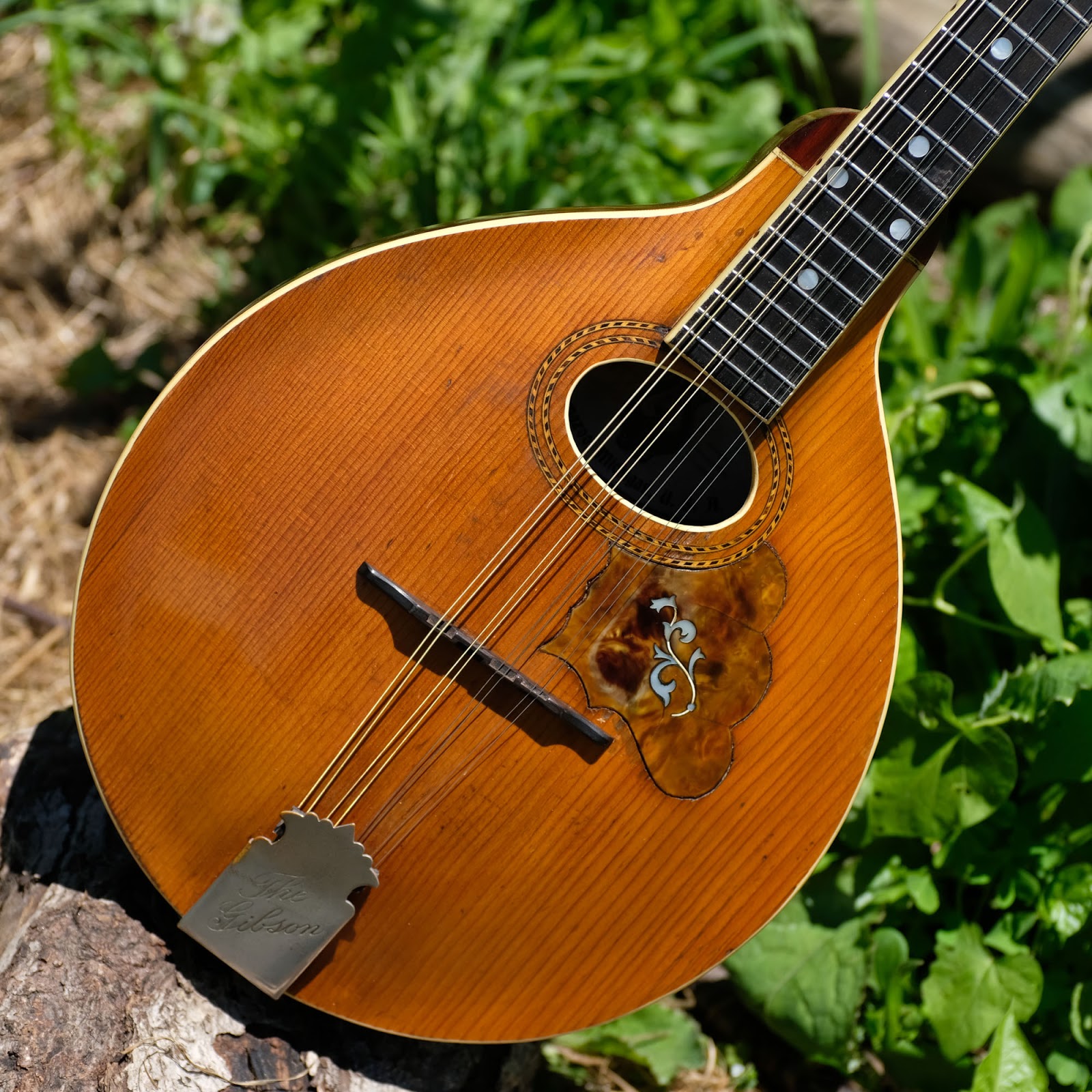 1906 Gibson A3 CarvedTop Mandolin