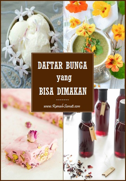 Daftar 20 Bunga yang Bisa dan Aman Dimakan Daftar 20 Bunga yang Bisa dan Aman Dimakan