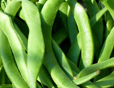 Snap Beans Picture - Green Beans
