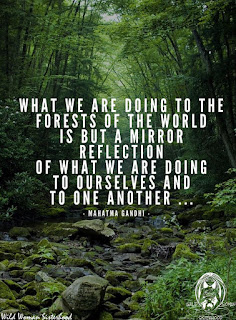 Green Heart At Work Environmental Quotes