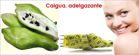 Ensalada de caigua para bajar de peso