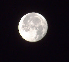 Primer Luna llena de este 2012