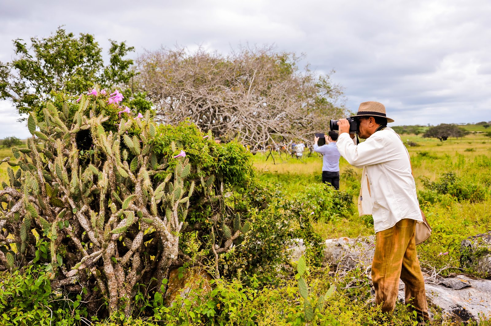 FOTOGRAFANDO NA FAZENDA MARANDUBA