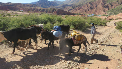 Transport in Esmoraca Sud Chichas Bolivien