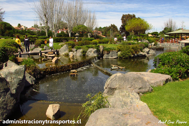 Av La Serena 2 Visita Al Jardin Japones De La Serena Con Ana
