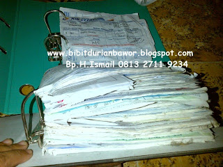 http://4.bp.blogspot.com/-HZCXEhVzLJI/U7Ux-p1mzII/AAAAAAAADWk/sGeyAfkt_mQ/s1600/bibitdurianbawor6.jpg