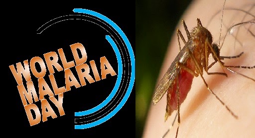 World Mosquito day