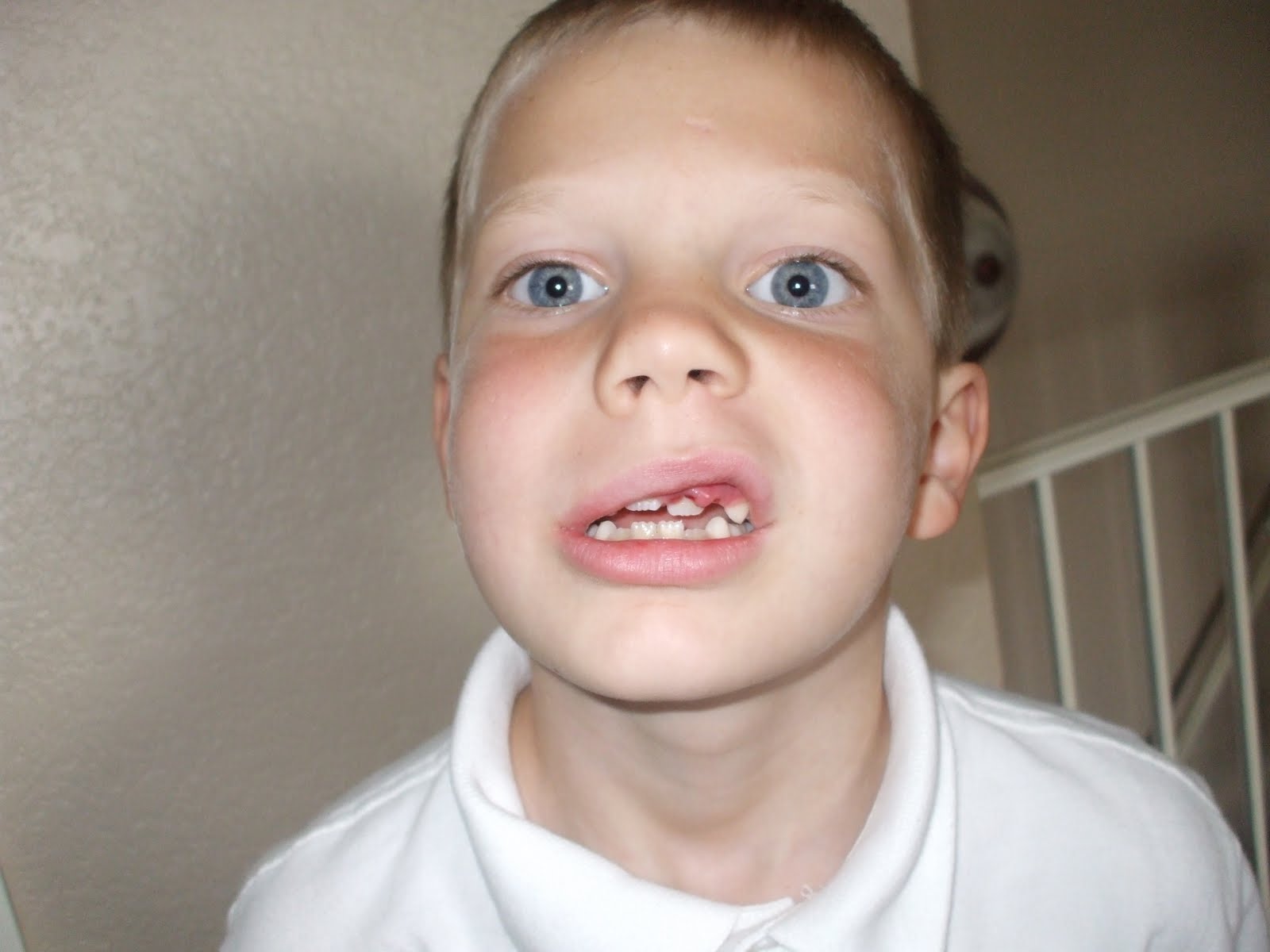 Williams Family: Shark Boy!