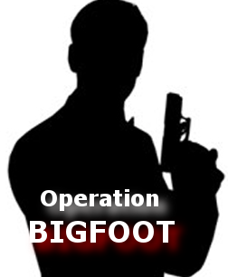 Bigfoot spies