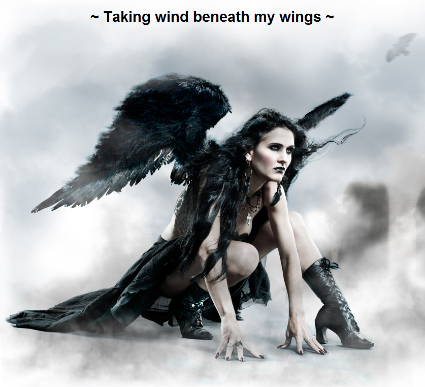 ~ Taking wind beneath my wings ~