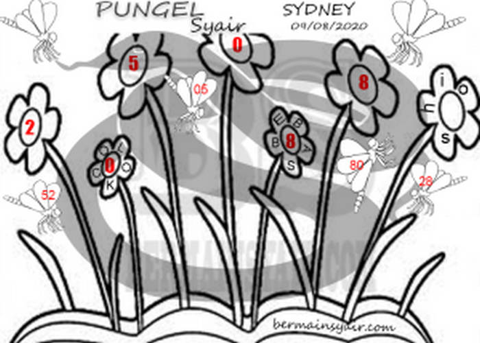 SYAIR SYDNEY ASIKTOTO