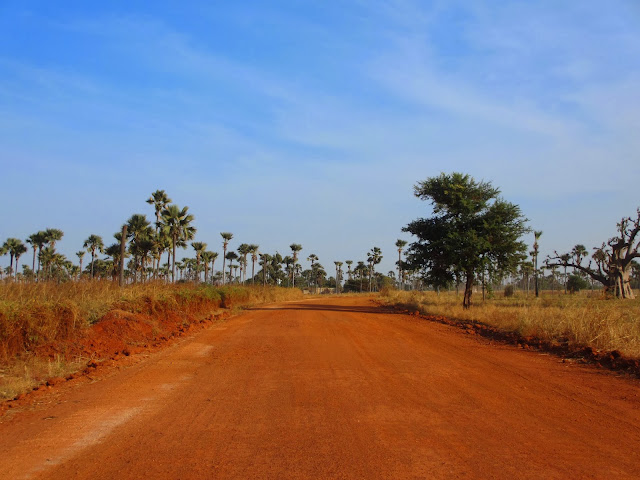 De DJIFER a JOAL-FADIOUTH, uma área deslumbrante de beleza e autenticidade na costa atlântica | Senegal