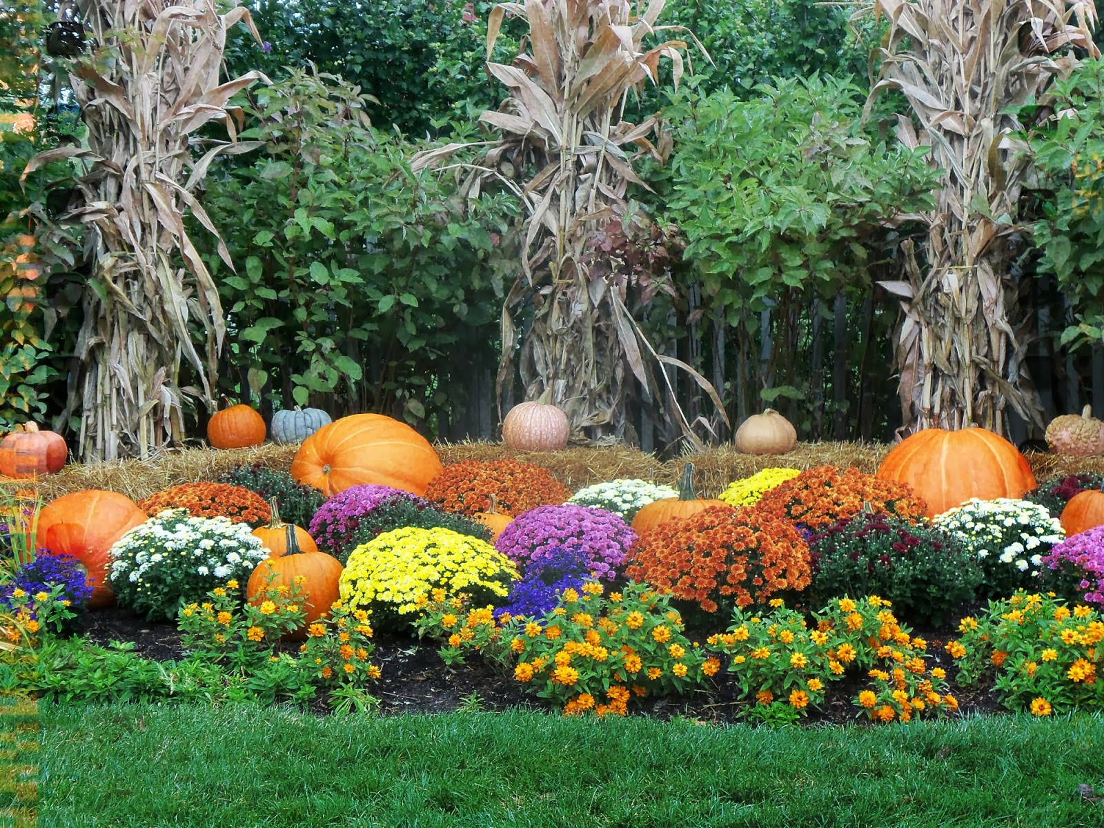 A Primitive Plot Pumpkins at Meijer Gardens