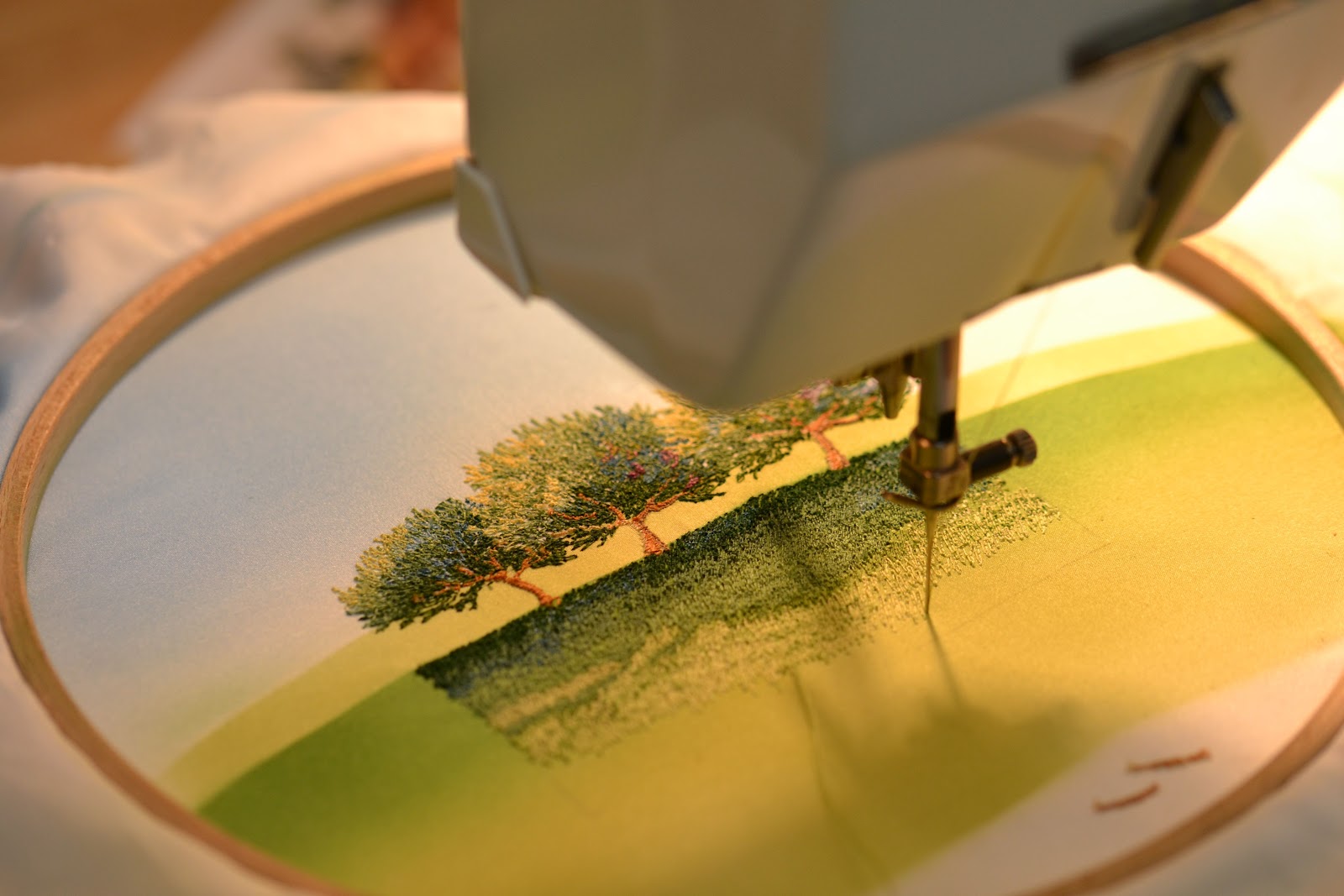 EVE BOTELHO, Fiber Artist Specializing in Embroidery, Rochester NY