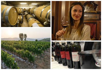 le guaite vino valpolicella