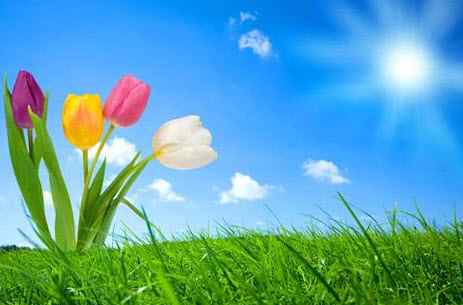 حالة الطقس اليوم السبت 1/4/2017 ودرجات الحرارة المتوقعة العظمى 26