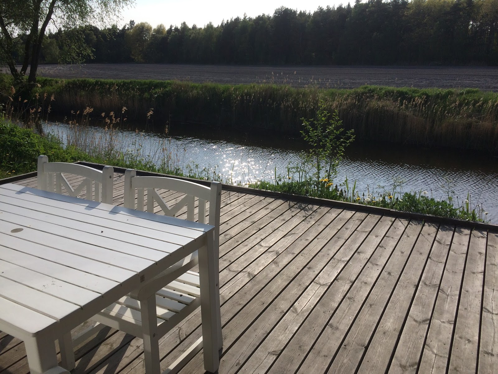 Ullevidsdal: elbilsträff gotland gangvide farm