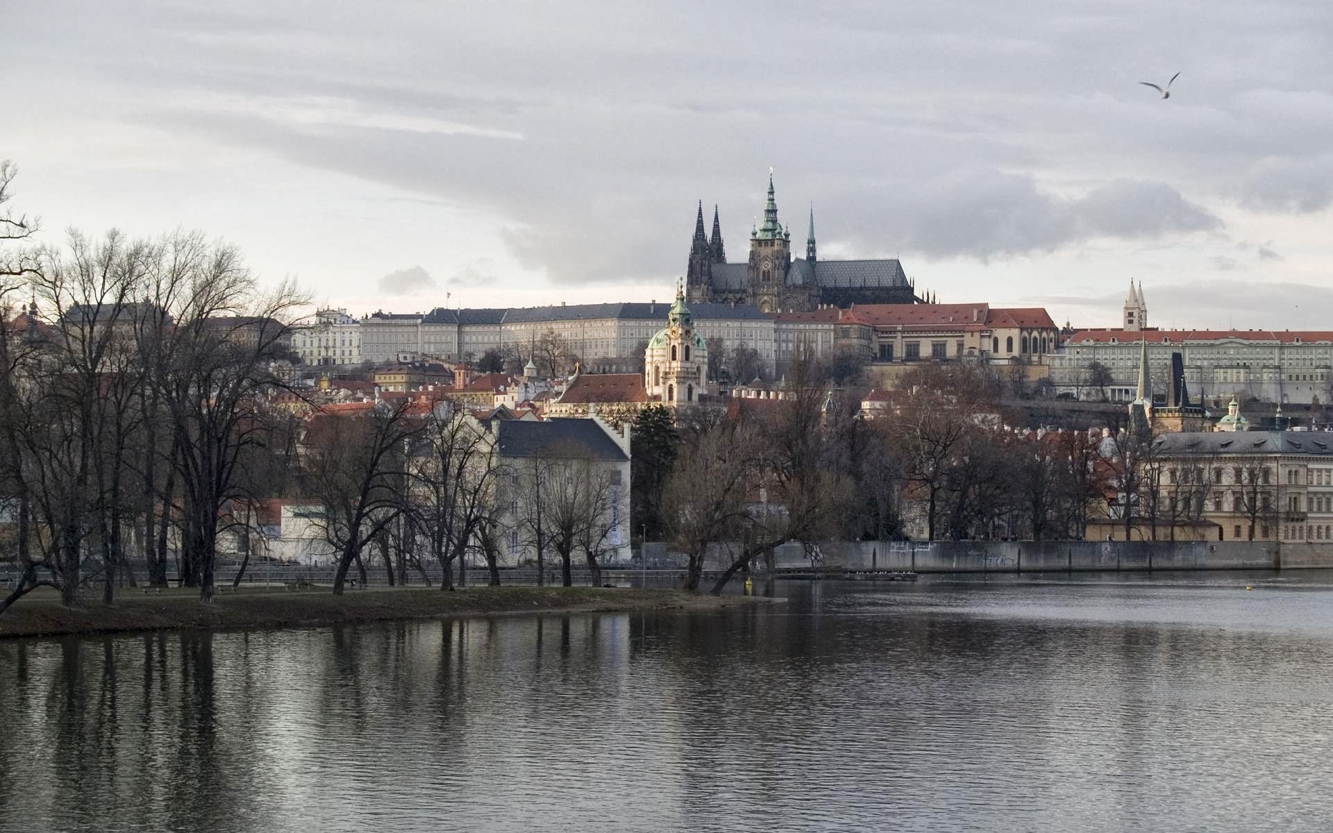 Czech glory hole porn Czech glory hole porn