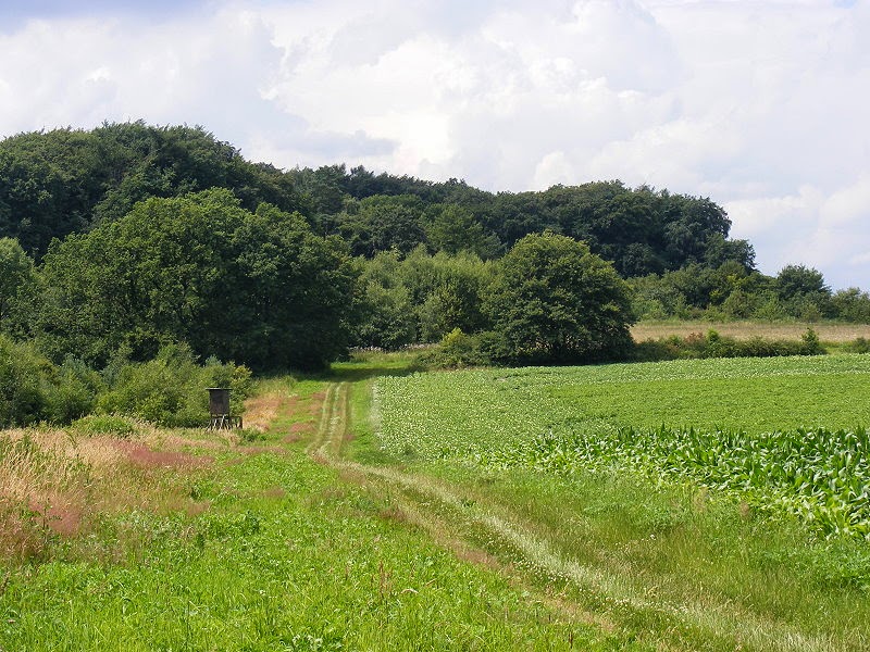 Stemweder Berg Stemweder Berg