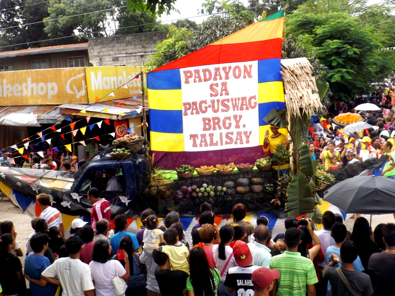 Bonsai Makisig San Isidro, Davao Oriental, Bonsai Festival 2014, Mt