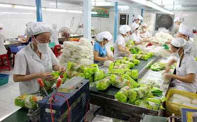 Tuyển 12 lao động chế biến nông sản tại Aichi, Nhật Bản Tuyển 12 lao động chế biến nông sản tại Aichi, Nhật Bản