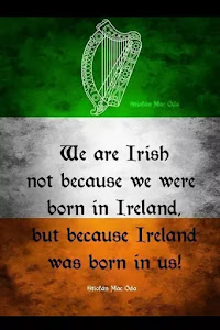 I Have Irish Ancestry and Proud of it!