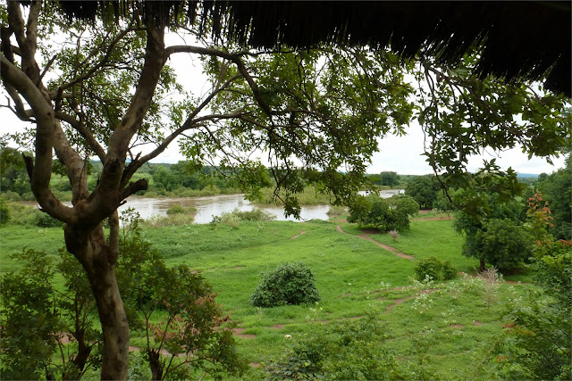 Vista del río Gambia a su paso por Kédougou, donde paramos a almorzar
