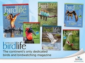 African Birdlife Magazine