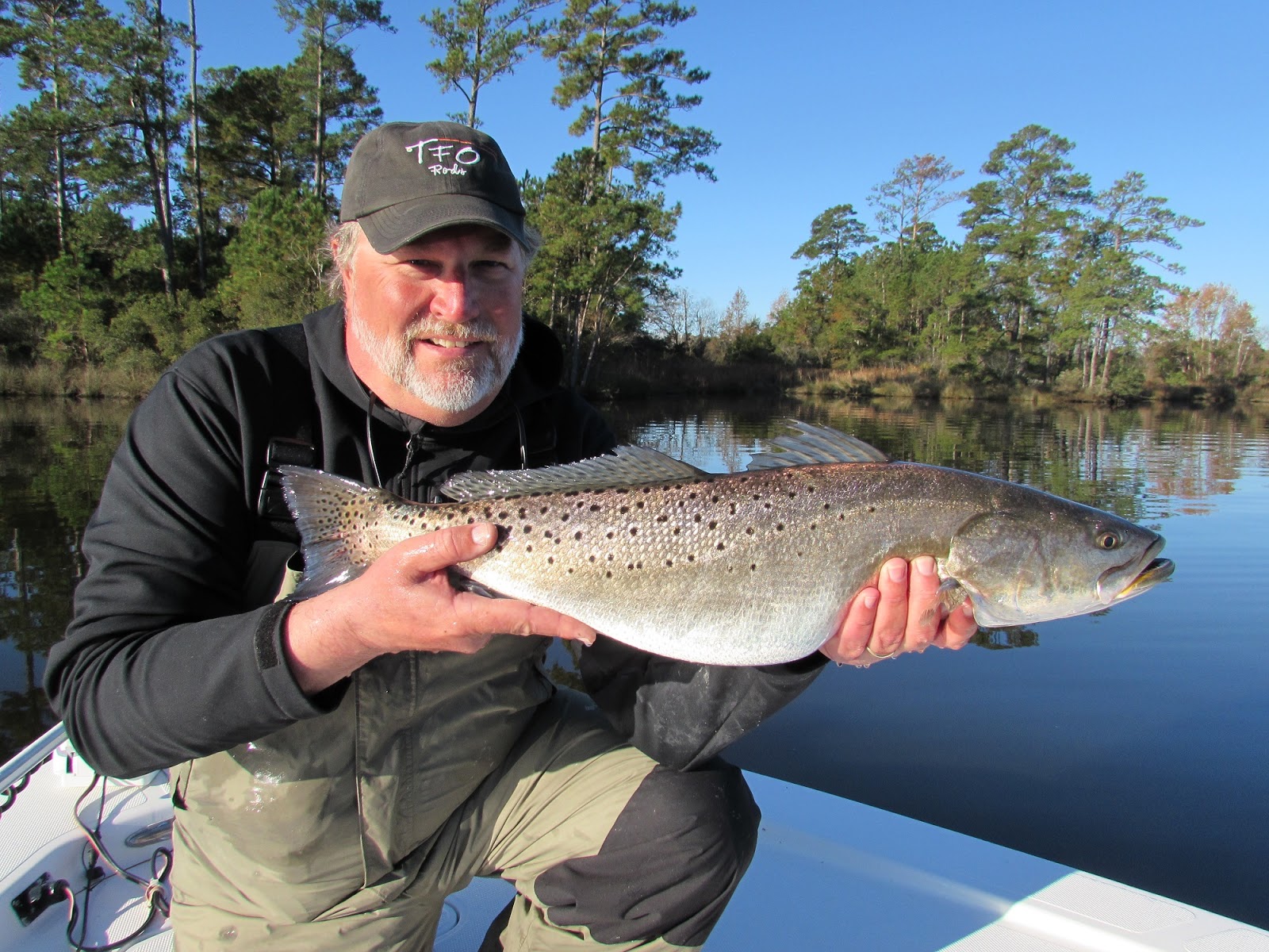 Winter Tactics for Spotted Seatrout Winter Tactics for Spotted Seatrout in NC