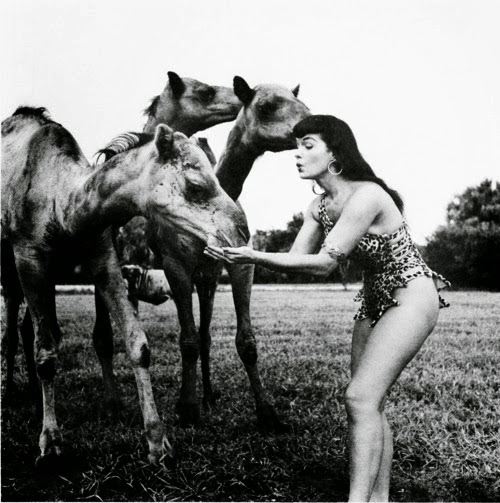 Bettie Page bikini animals camels