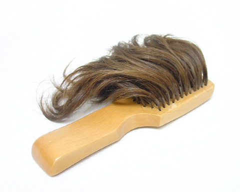 Agustina Woodgate Hair Brush 