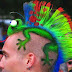 Ohh! There is a chameleon on my head [Image]
