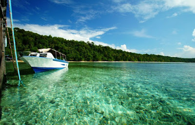 pesona danau kakaban kalimantan pesona danau kakaban kalimantan