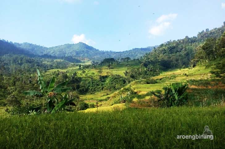 situs lingga yoni petungkriyono pekalongan
