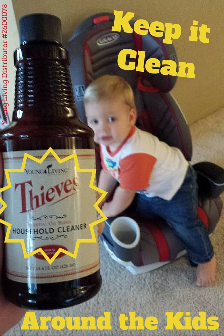 It Really Is This Easy Thieves Household Cleaner AllPurpose Sprays