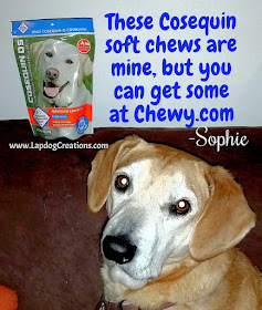 Sophie Loves Her Cosequin Soft Chews - Help Maintain Your Dog's Joints With a Tasty Treat - Lapdog Creations
