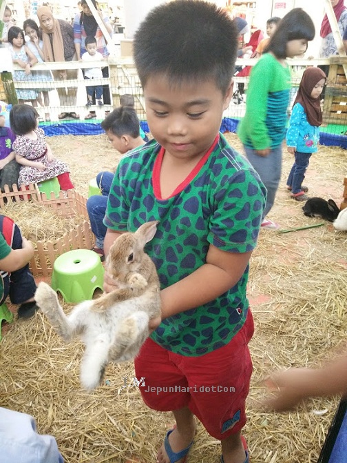 Spend time with kid | KidZania Go | MiniZoo Au | Kidzoona Spend time with kid | KidZania Go | MiniZoo Au | Kidzoona