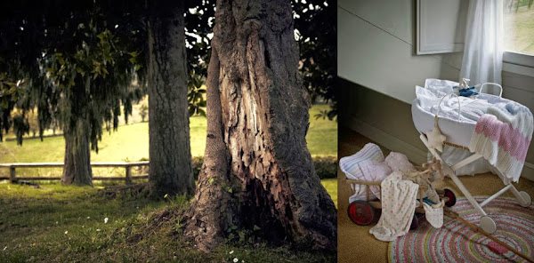 ZARA HOME FALL WINTER 13