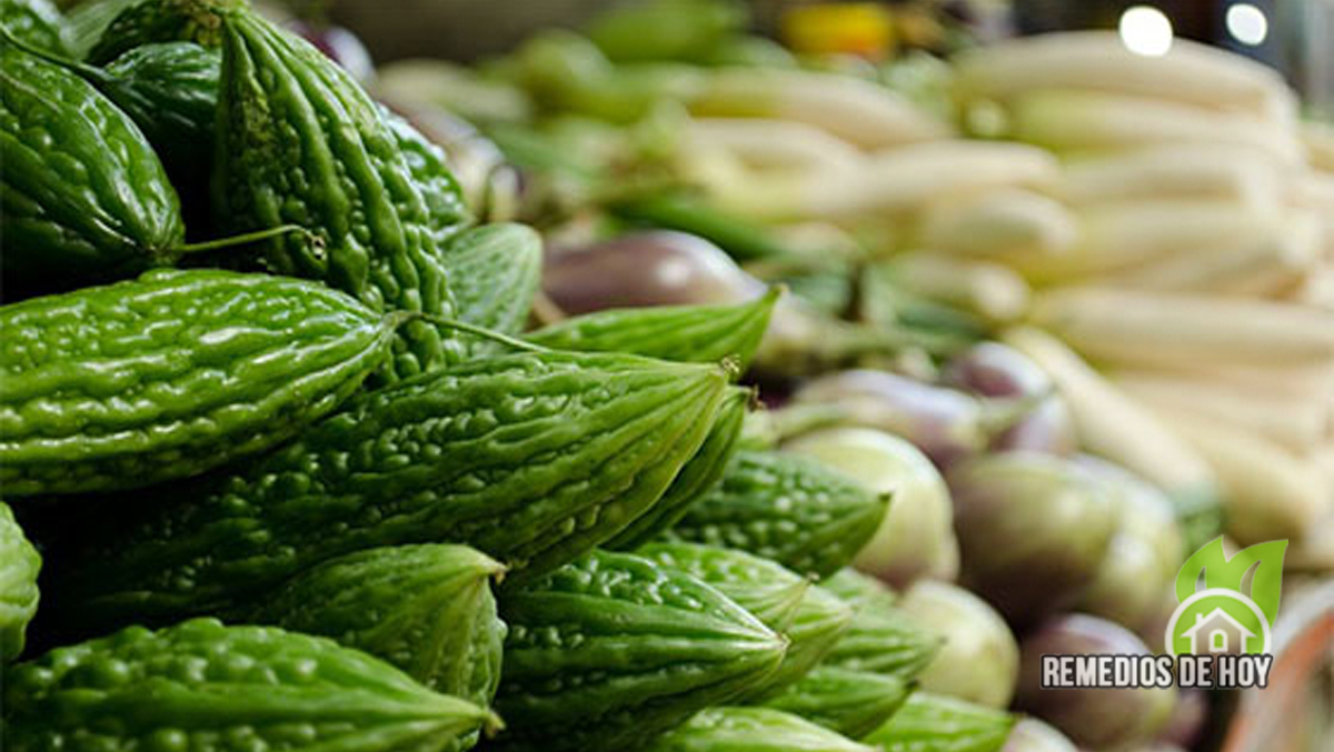 beneficios del melón amargo karela para la diabetes