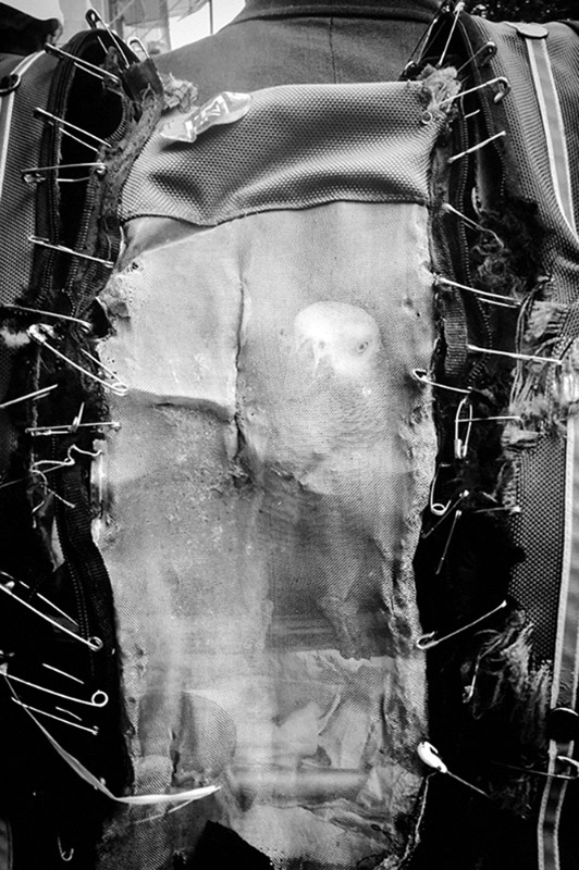 Interview with Damian Chrobak Interview with Damian Chrobak