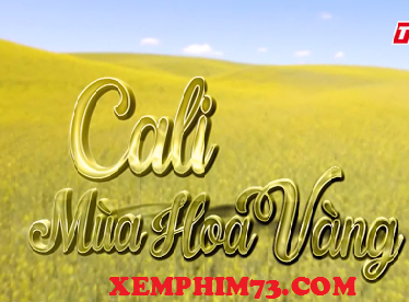 Xem Phim Cali Mùa Hoa Vàng Phim Cali Mùa Hoa Vàng- THVL1