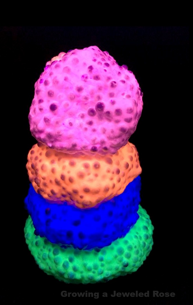 DIY scented rainbow FLOAM. This stuff takes minutes to make & is seriously SO COOL! Squish it, mold it, watch it GLOW DIY scented rainbow FLOAM. This stuff takes minutes to make & is seriously SO COOL! Squish it, mold it, watch it GLOW