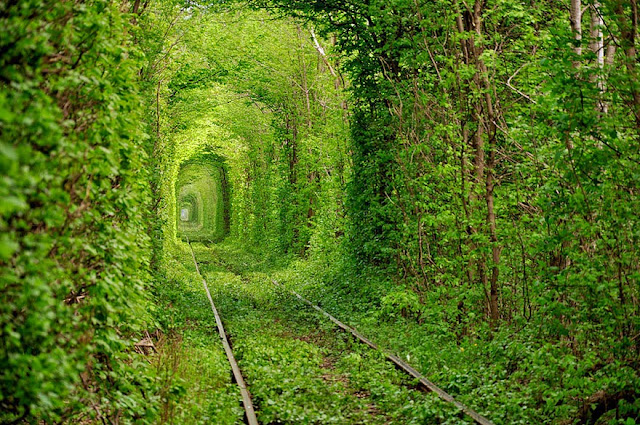 Resultado de imagem para imagens surreais