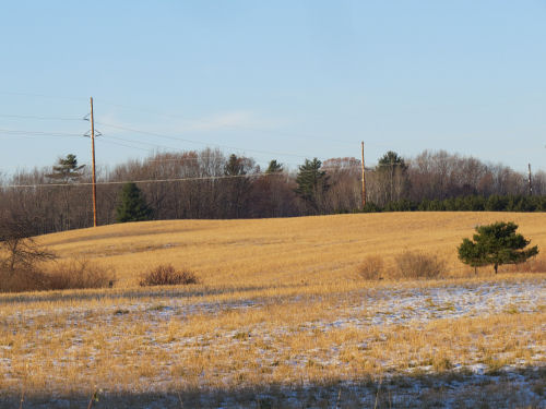 golden winter fields