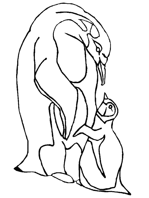 Penguin Colouring Page Zoo Penguin Coloring Pages