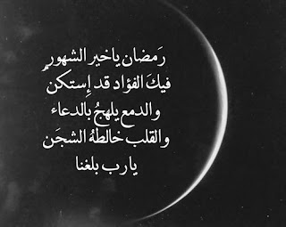 7Ro2AXmutn-21976330-1
