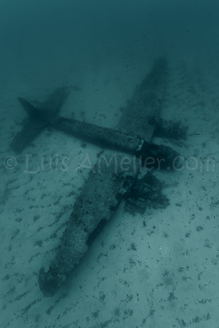 Junkers wreck - LuisAMeller.com