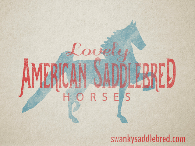american saddlebred horses